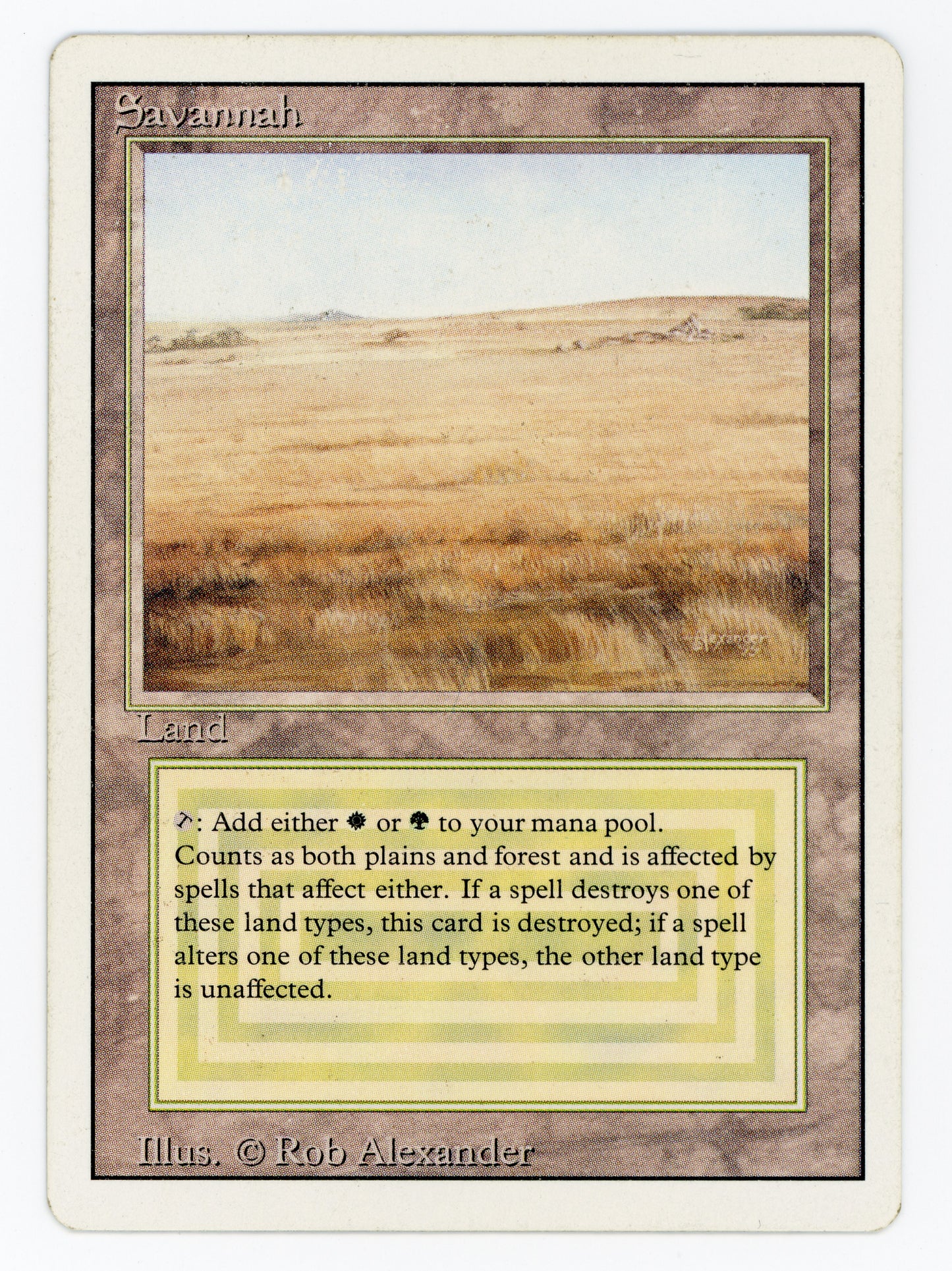 SIN-SCAN-16252