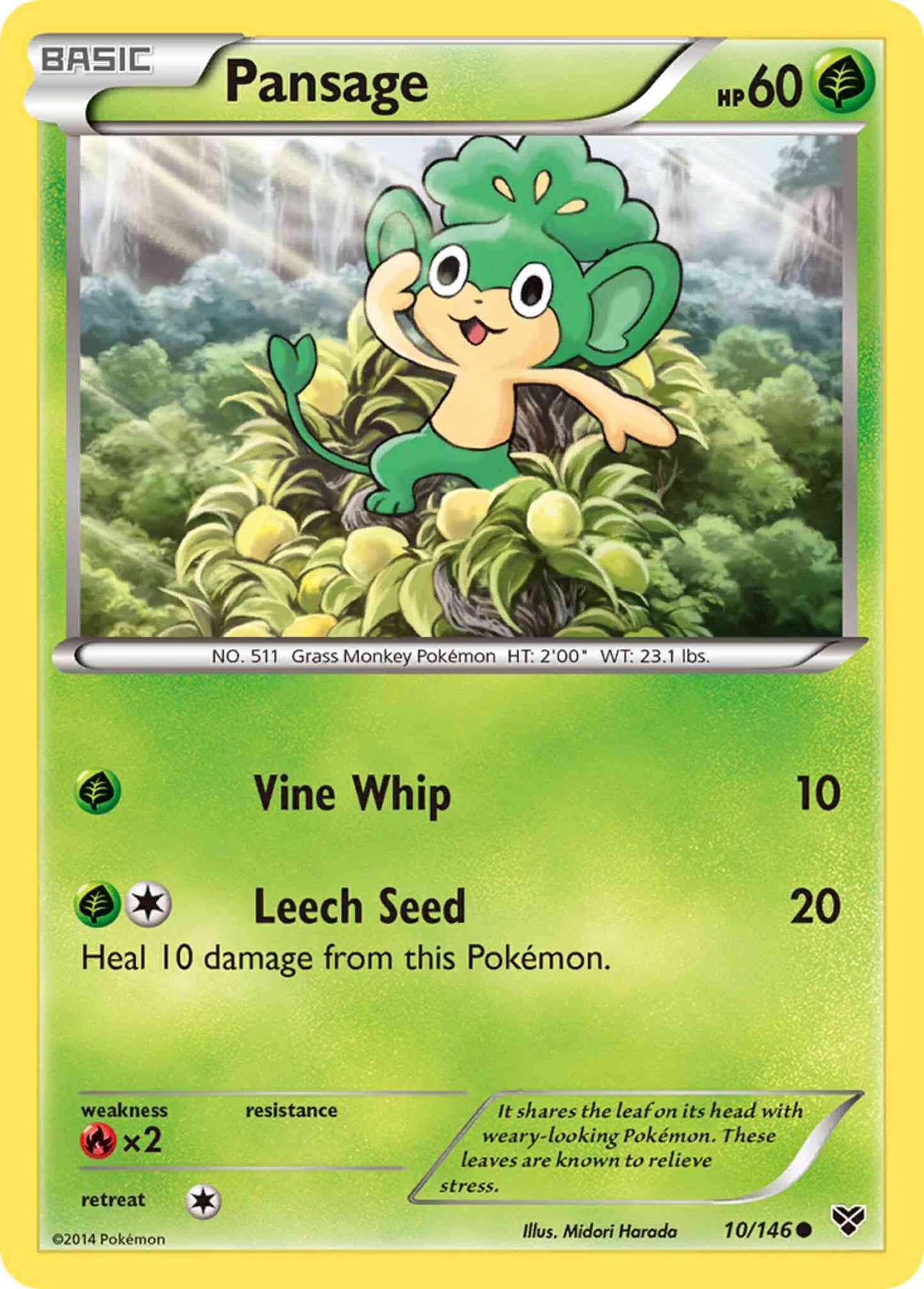 Pansage - 10/146 - Common [xy1-10] [Non-Holo]