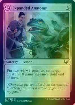 Expanded Anatomy [2] [Strixhaven: School of Mages] [Foil]