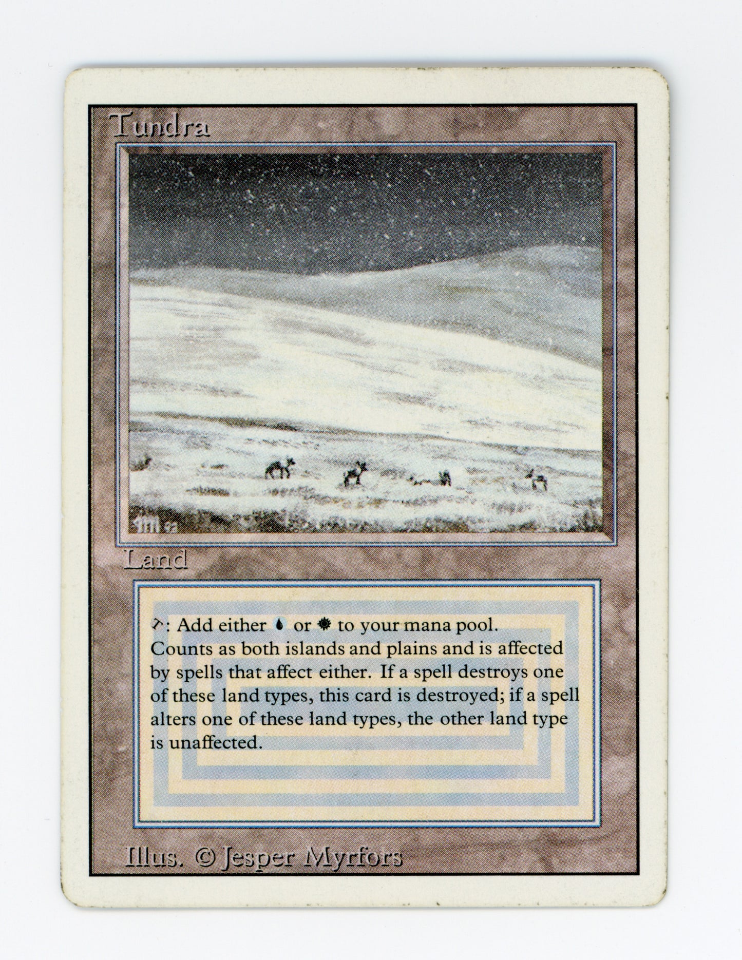 Tundra — Damaged — ID 19370