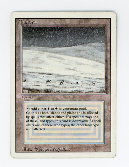 Tundra — Damaged — ID 19370