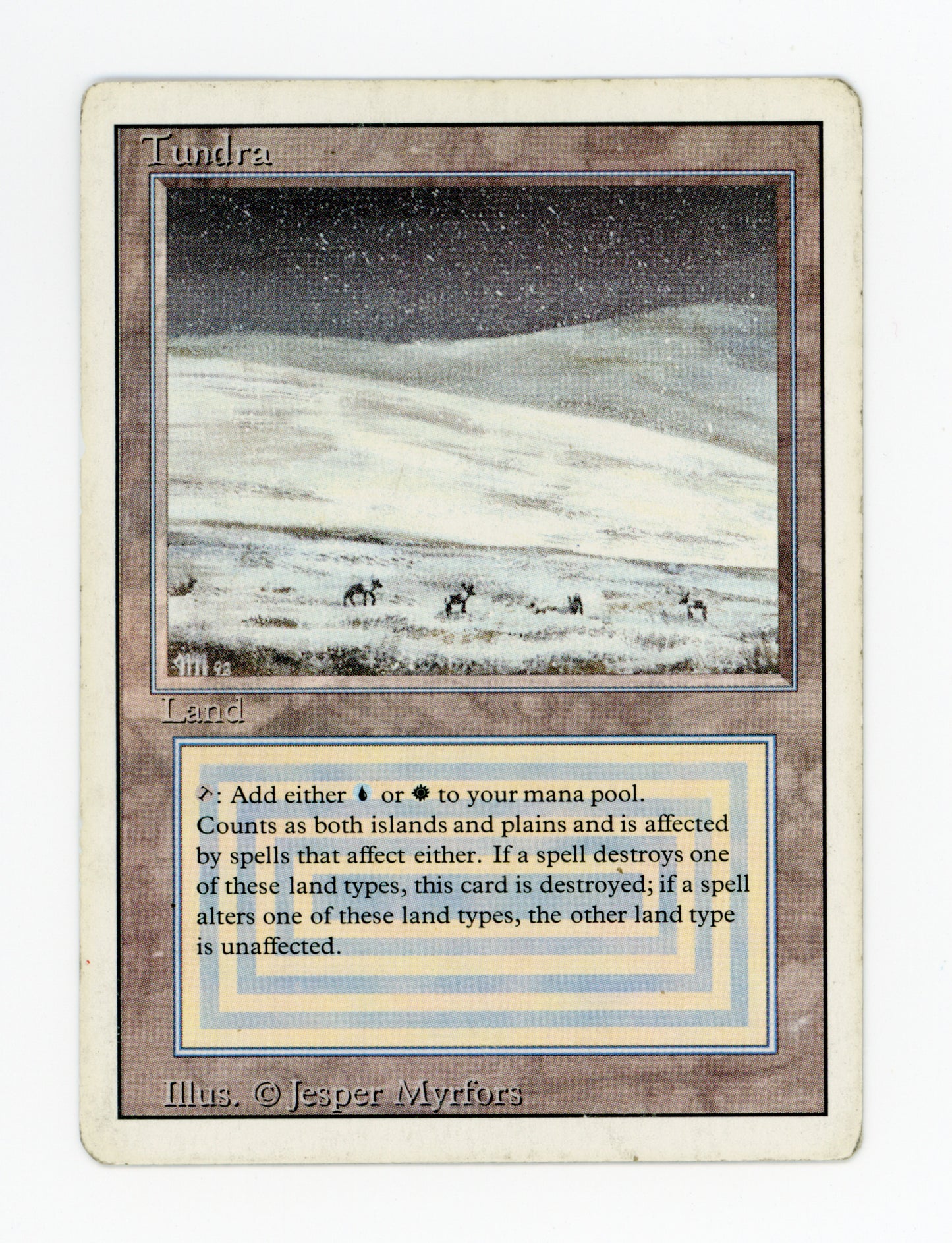 Tundra — ID 17625