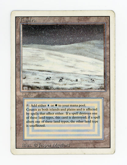 Tundra — ID 17625