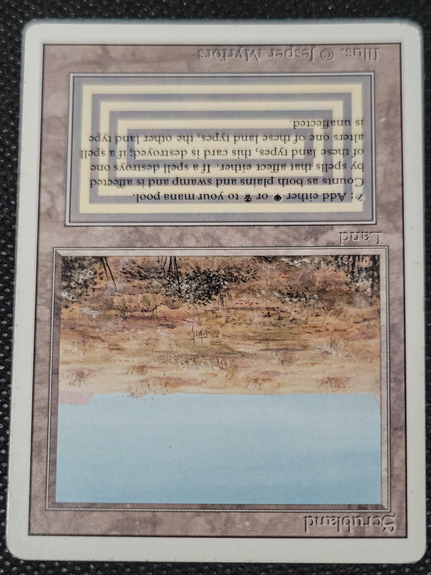 Scrubland — ID 17053