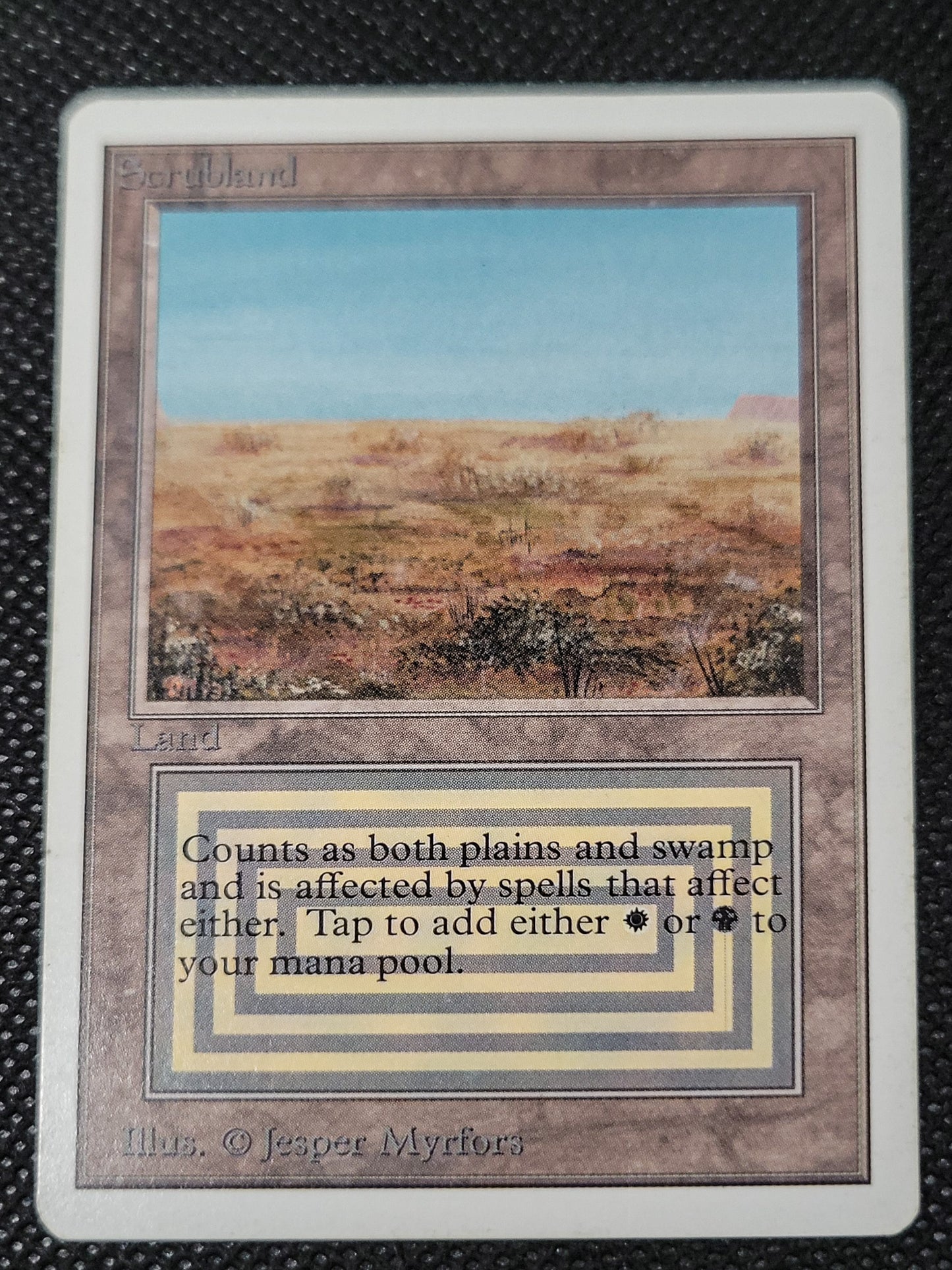 Scrubland — ID 16949