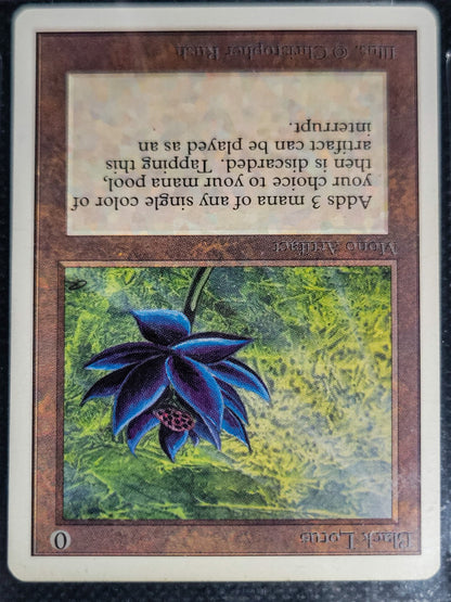 SIN-SCAN-16823_d