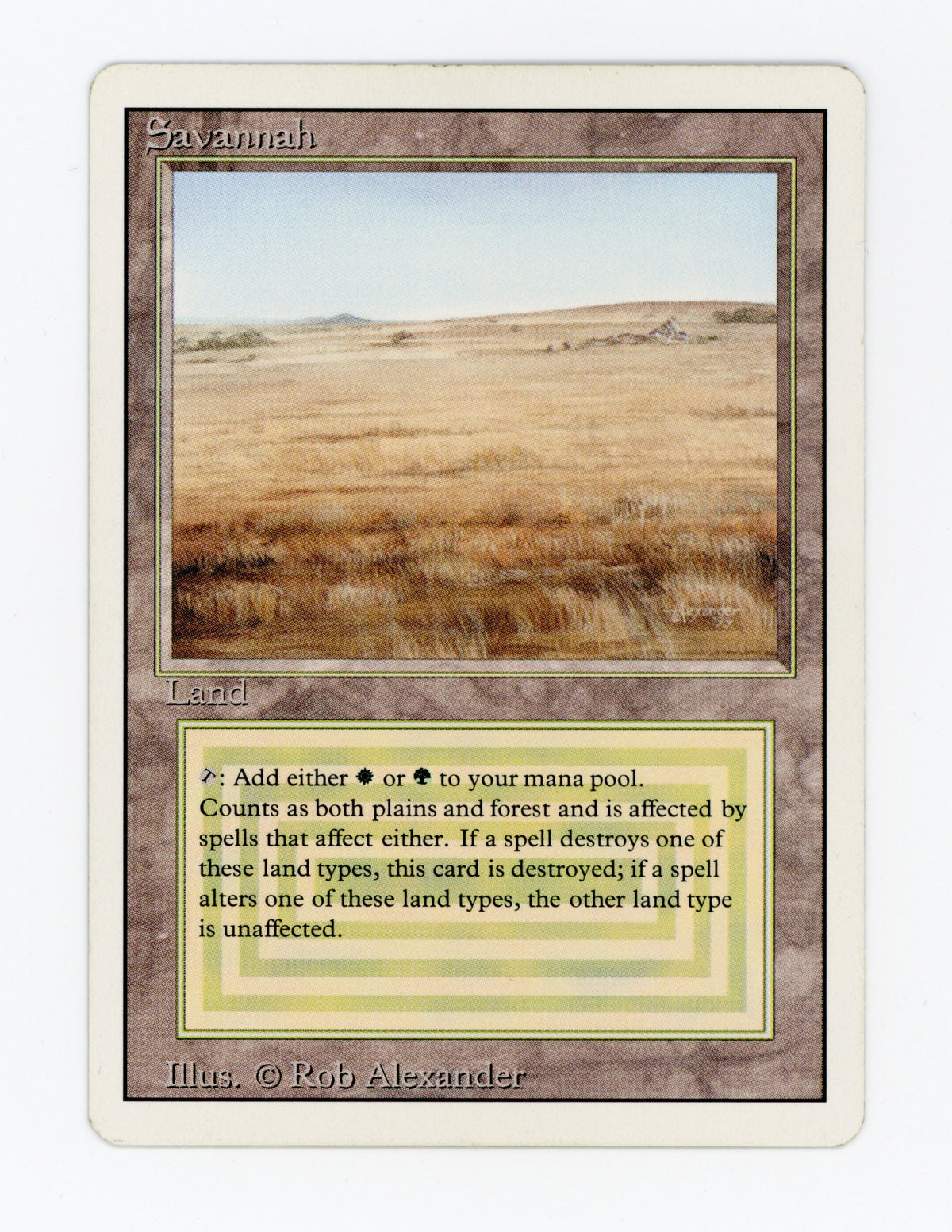 Savannah — ID 20382