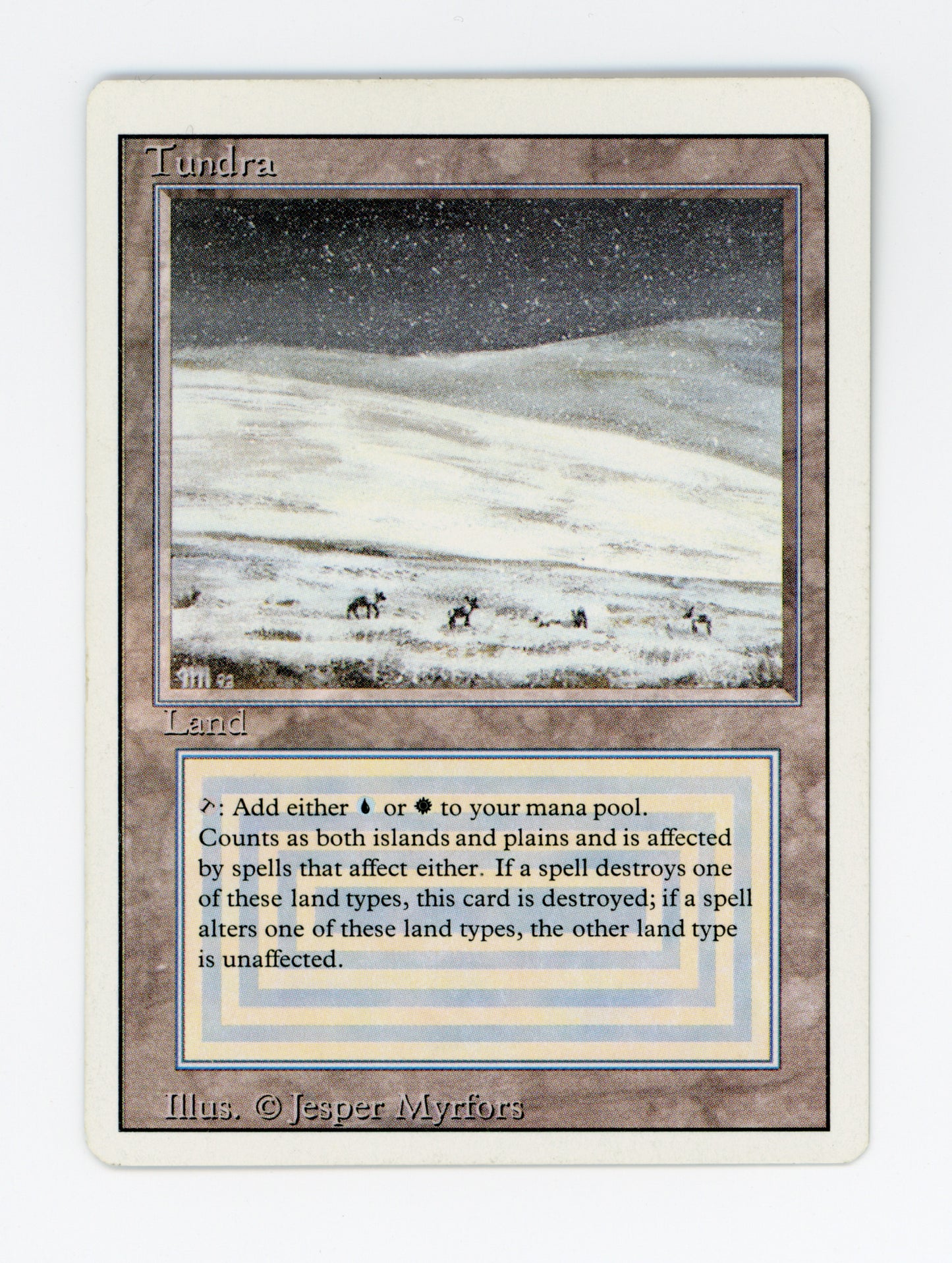 Tundra — ID 19651