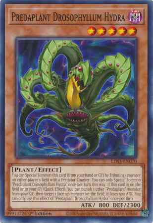 Predaplant Drosophyllum Hydra - LDS3-EN070 - Common - 1st Edition