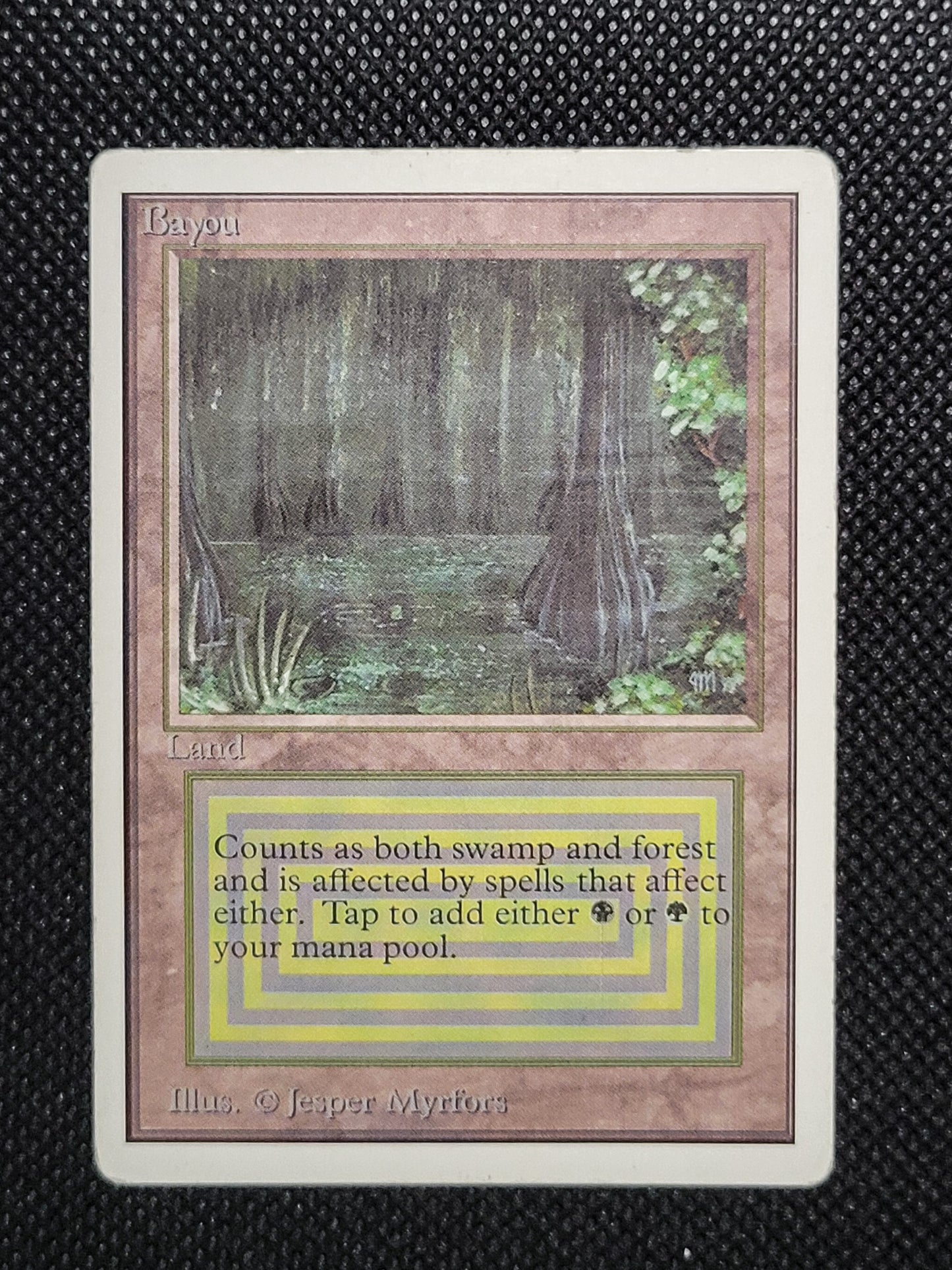 Bayou — ID 17003
