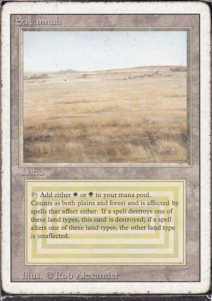 SIN-SCAN-11799