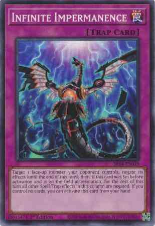 Infinite Impermanence - SR14-EN039 - Common - 1st Edition