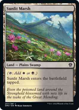 Sunlit Marsh [257] [Dominaria United] [Non-Foil]