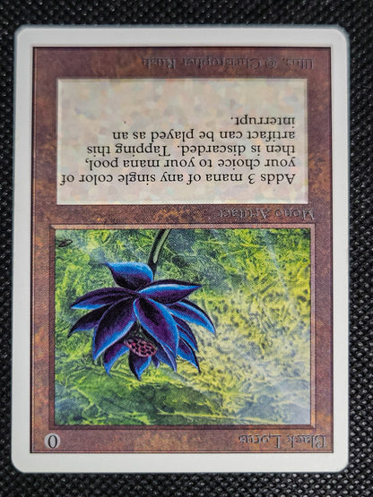 SIN-SCAN-16556_d
