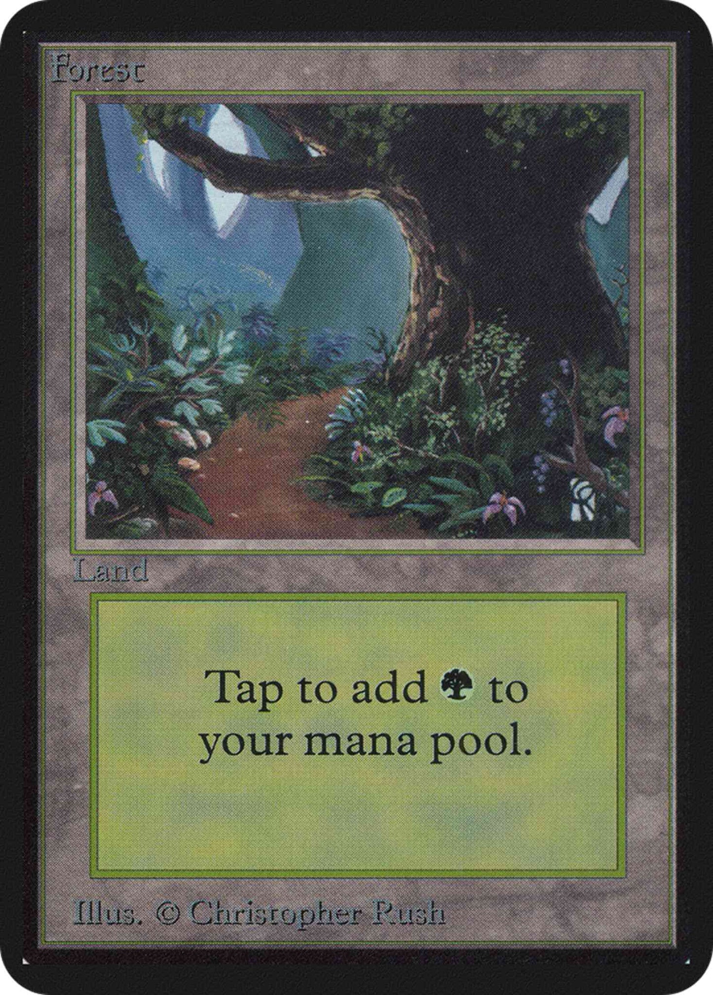 Forest [Path] [295] [Limited Edition Alpha] [Non-Foil]