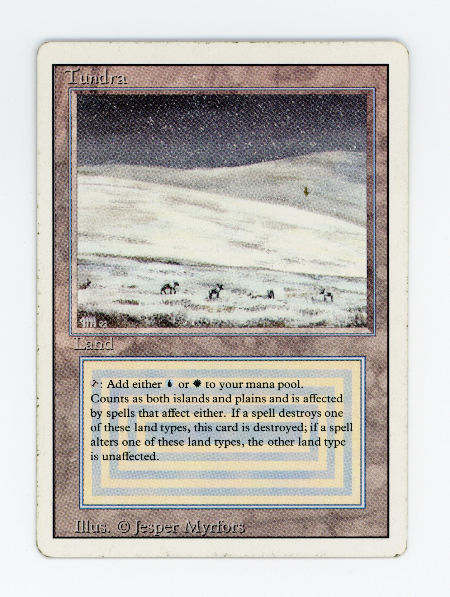 Tundra — ID 19652