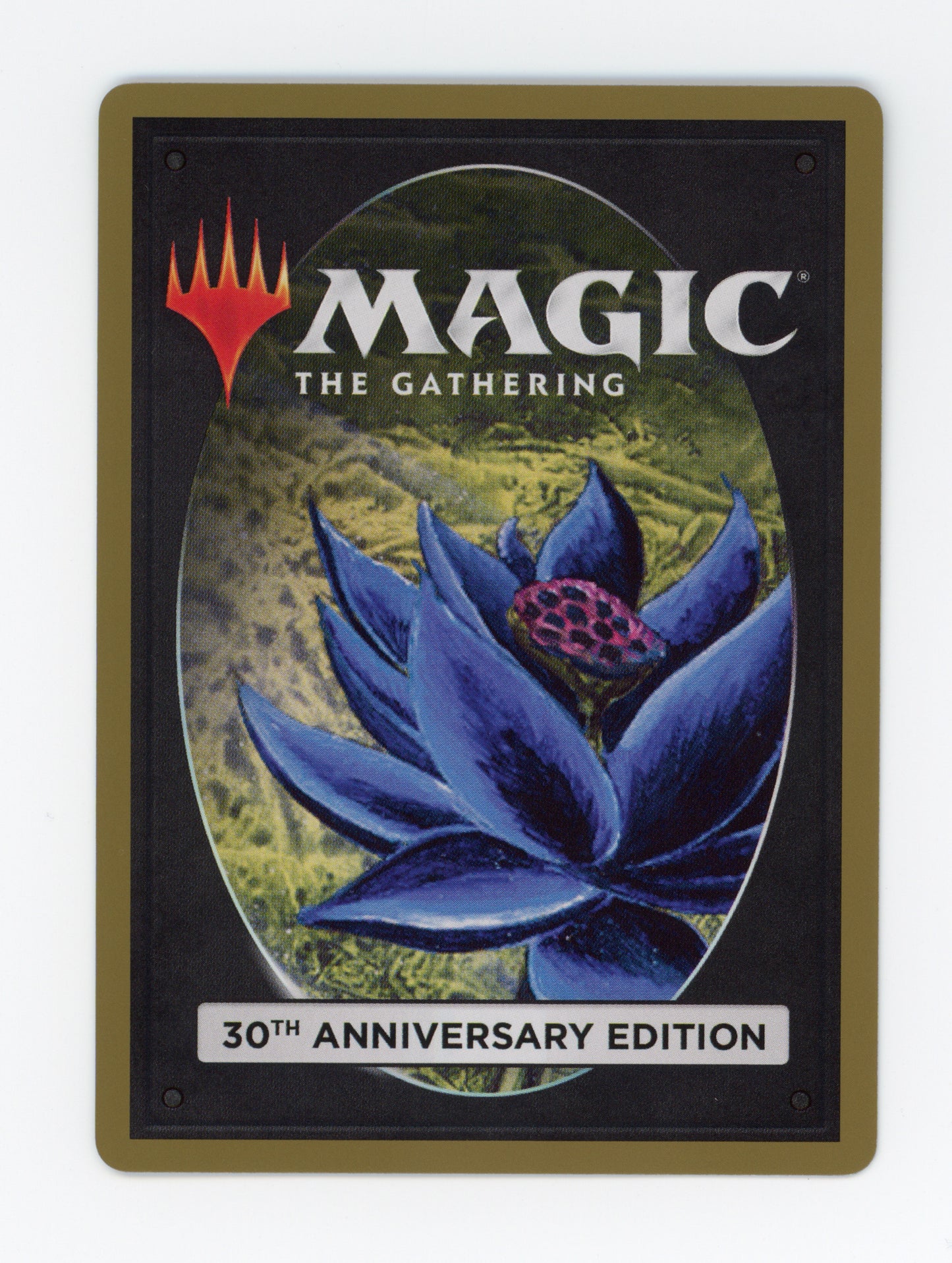 Time Walk — ID 19903