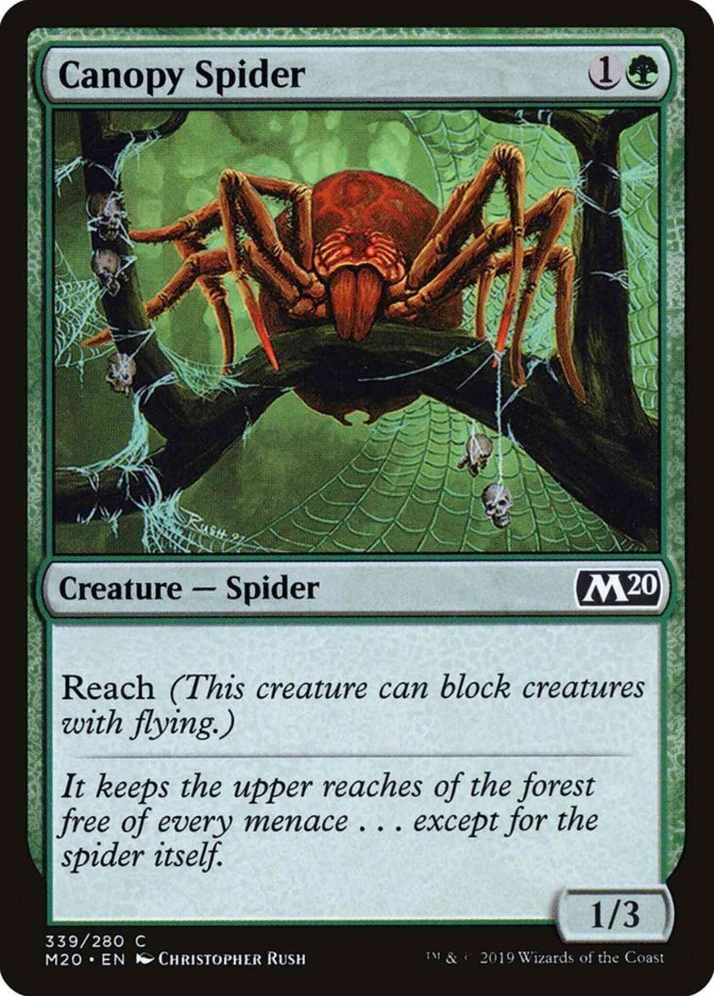 Canopy Spider [339] [Welcome Deck Exclusive] [Core Set 2020] [Non-Foil]