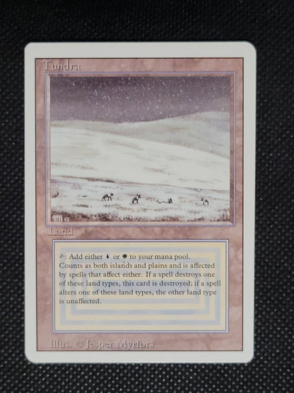 Tundra — ID 19373