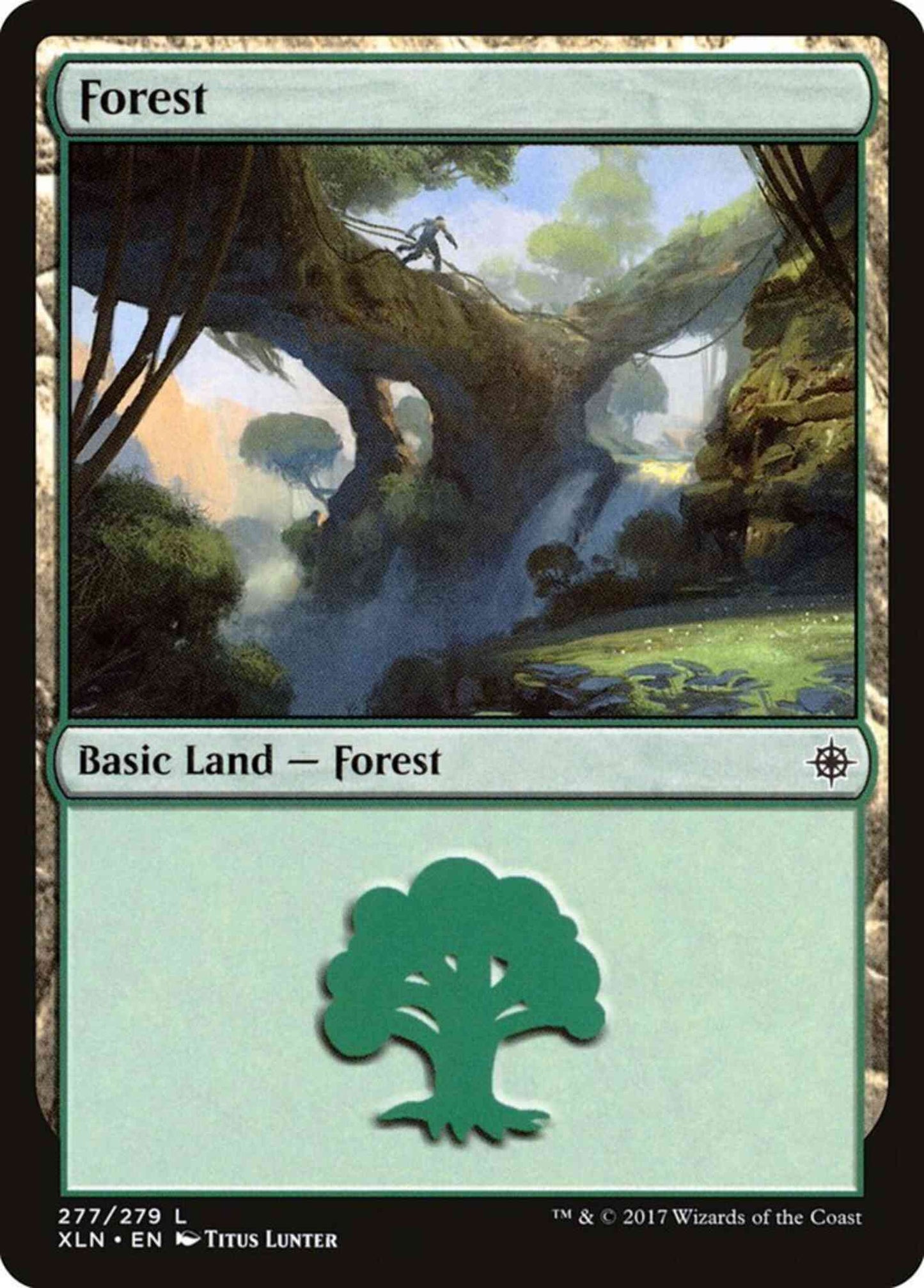 Forest [277] [Ixalan] [Non-Foil]