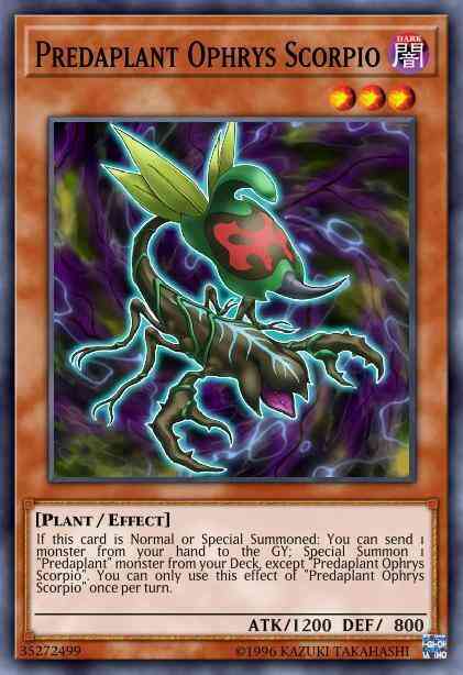 Predaplant Ophrys Scorpio - MACR-EN009 - Rare - Unlimited