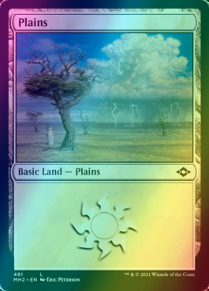 Plains [481] [Modern Horizons 2] [Etched Foil]