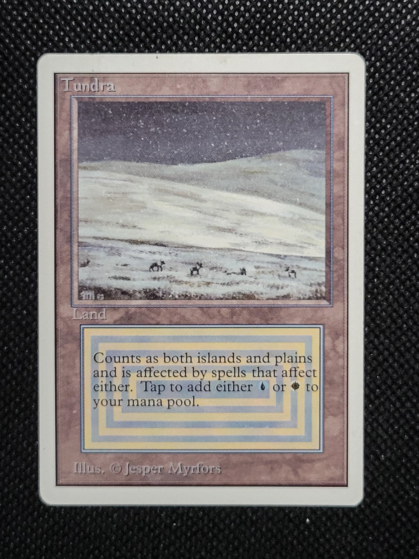 Tundra — ID 16973