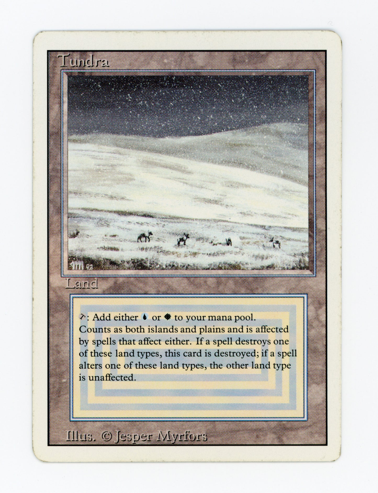 Tundra — ID 18479