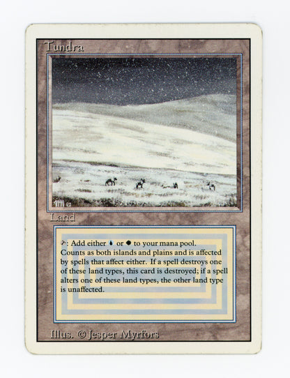 Tundra — ID 18479