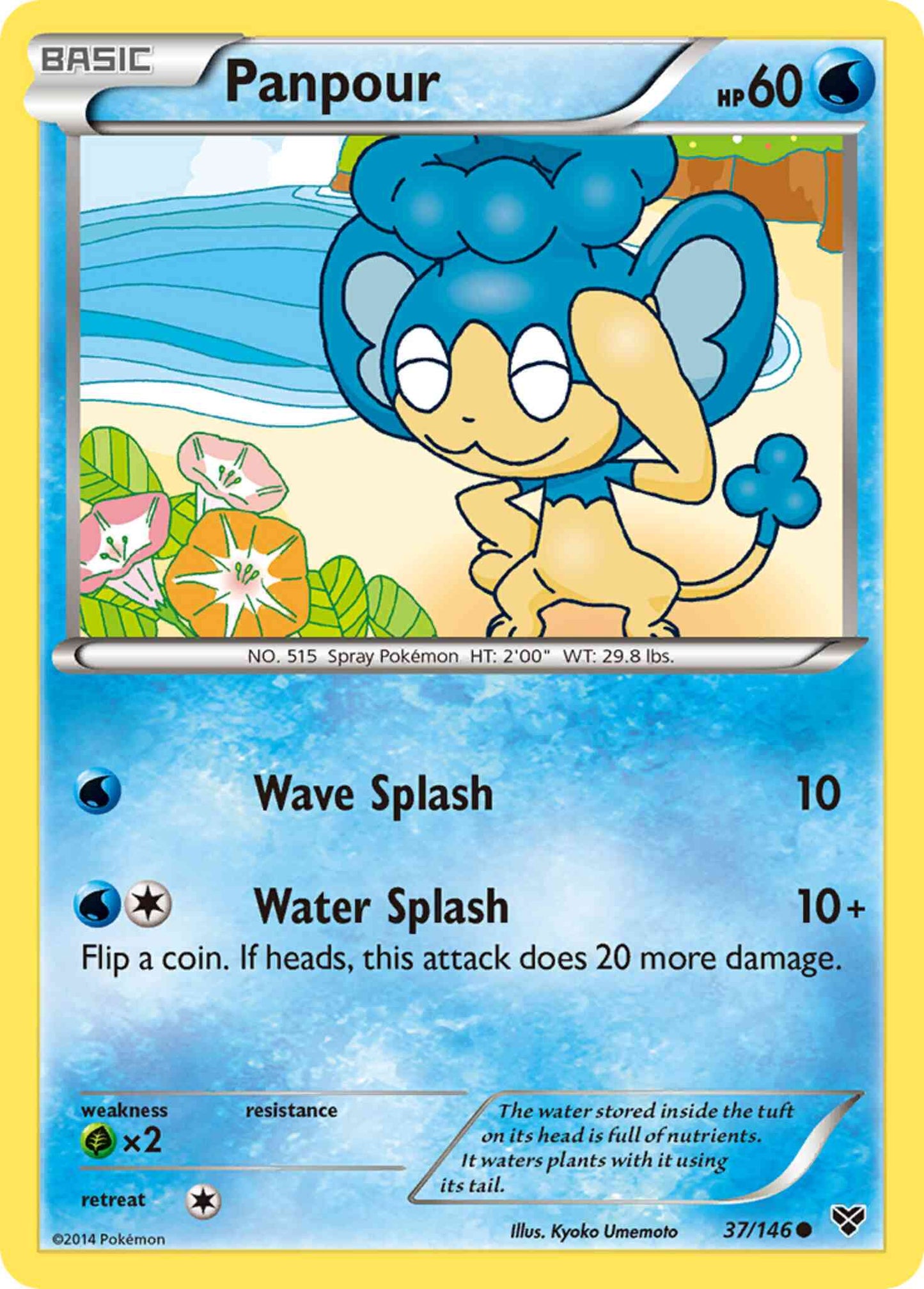 Panpour - 37/146 - Common [xy1-37] [Non-Holo]