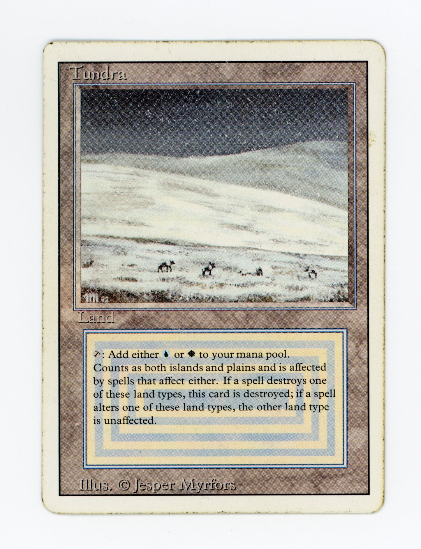 Tundra — ID 19909