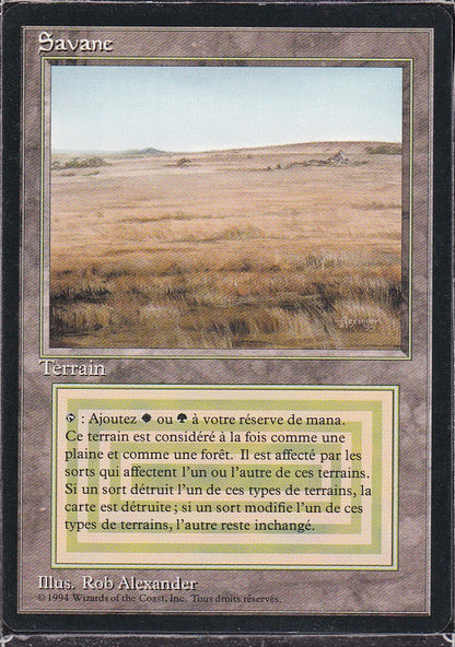 SIN-SCAN-11546