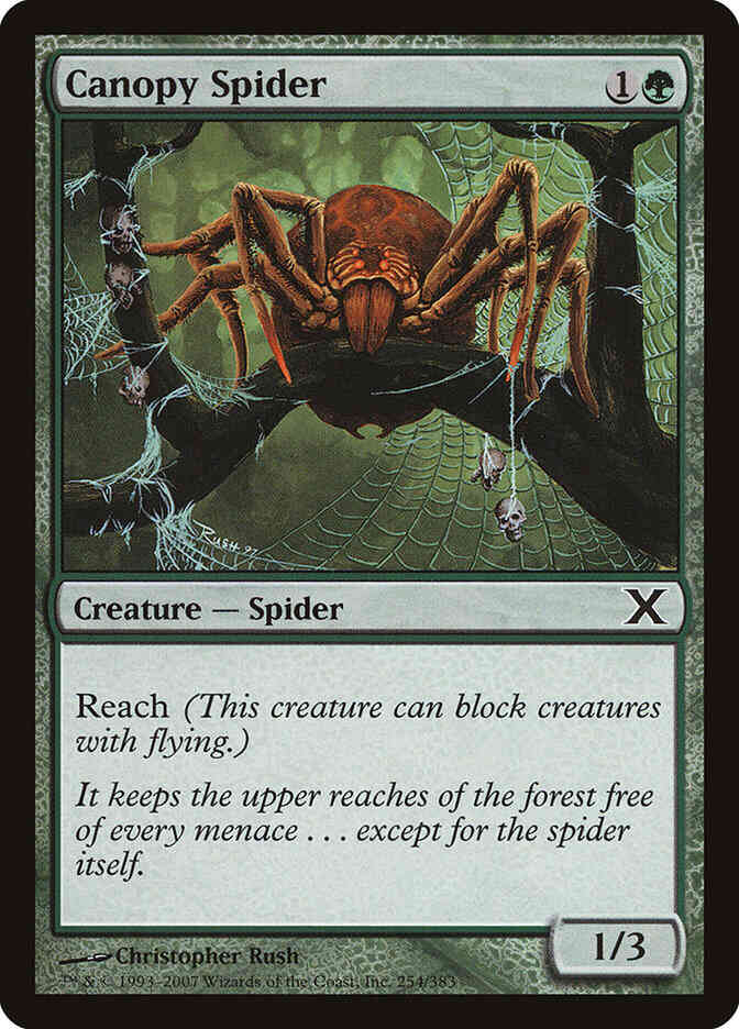 Canopy Spider [254] [Tenth Edition] [Non-Foil]