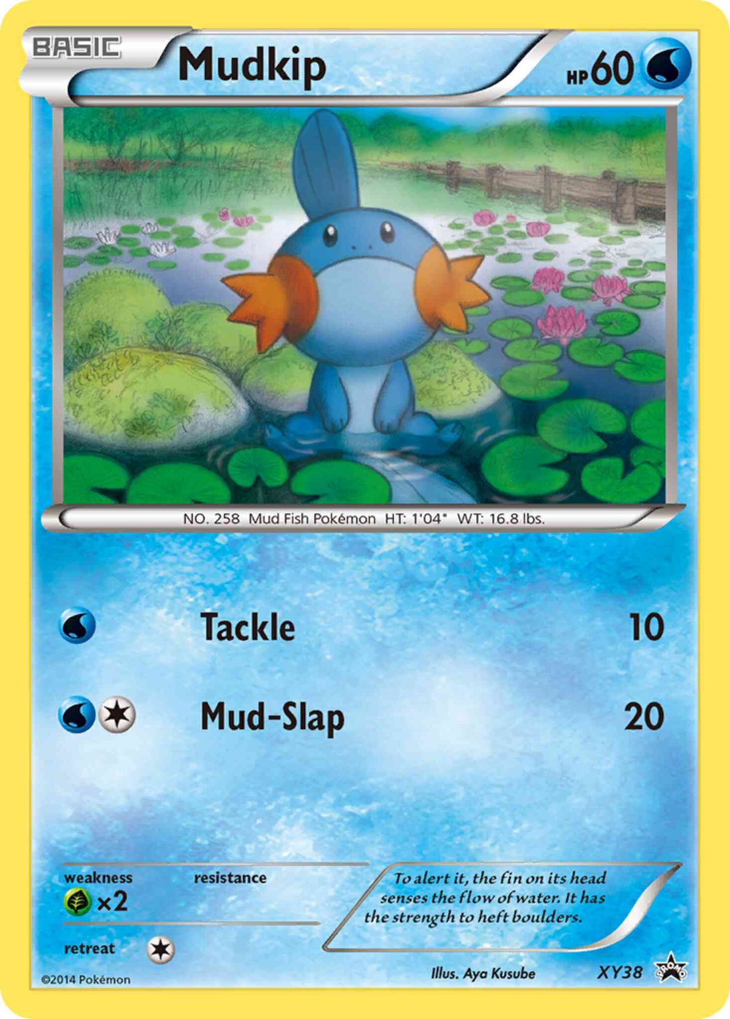 Mudkip - XY38 - Promo [xyp-XY38] [Holo]