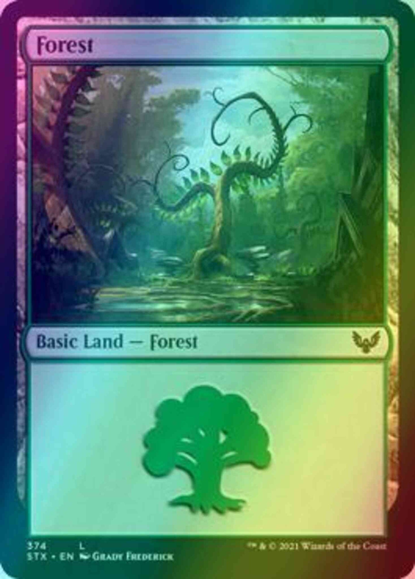 Forest [374] [Strixhaven: School of Mages] [Foil]
