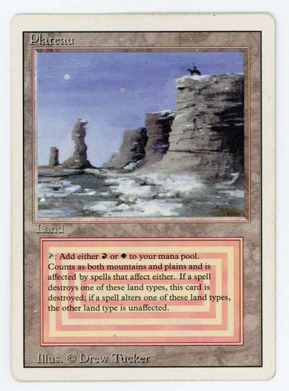 SIN-SCAN-13206
