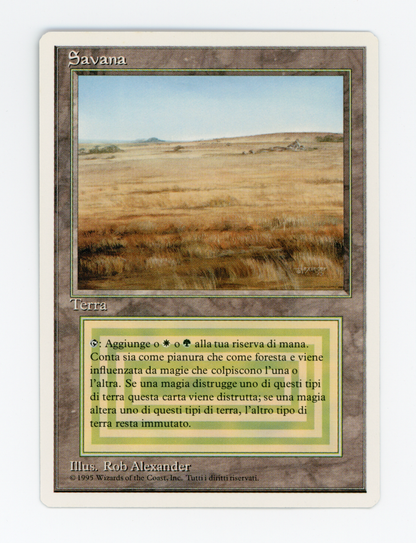 SIN-SCAN-16407