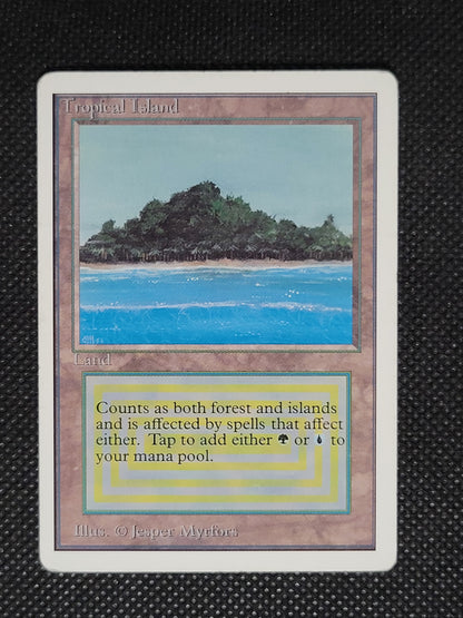 Tropical Island — ID 19839