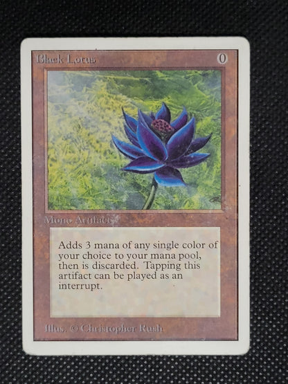 Black Lotus — ID 19017
