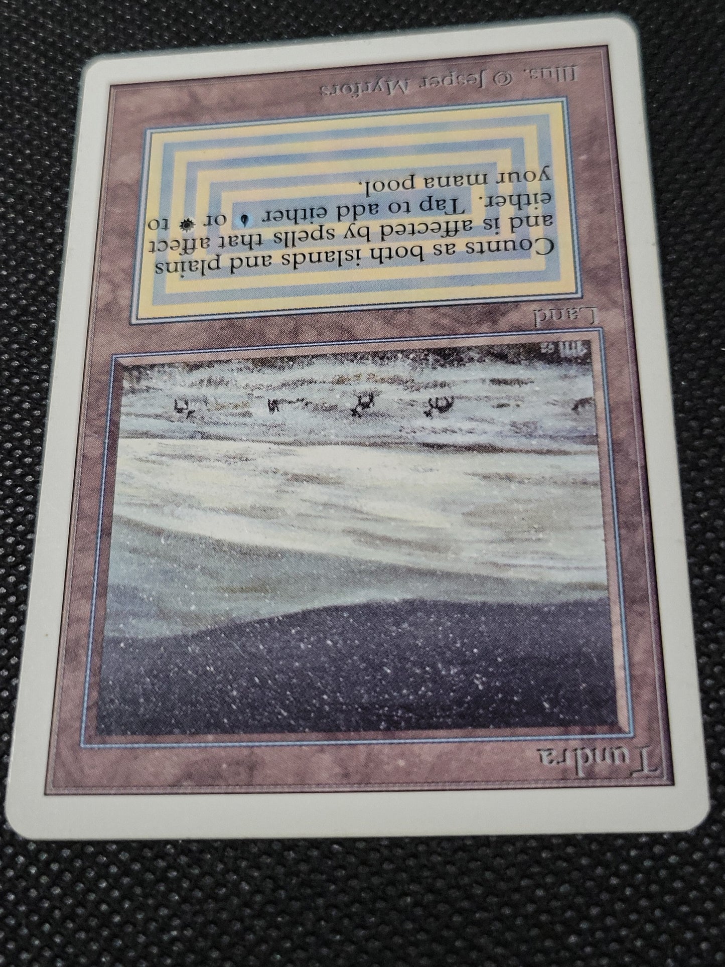 Tundra — ID 16976