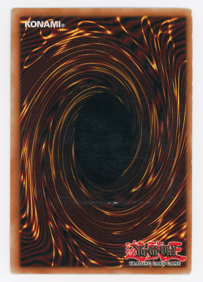 SIN-SCAN-13987