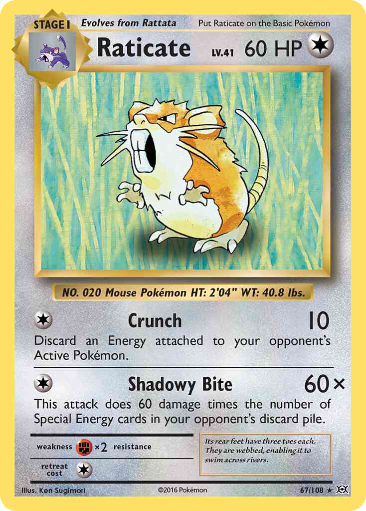 Raticate - 67/108 - Rare [xy12-67] [Reverse Holo]