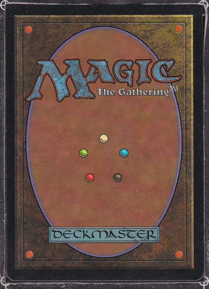 SIN-SCAN-13048