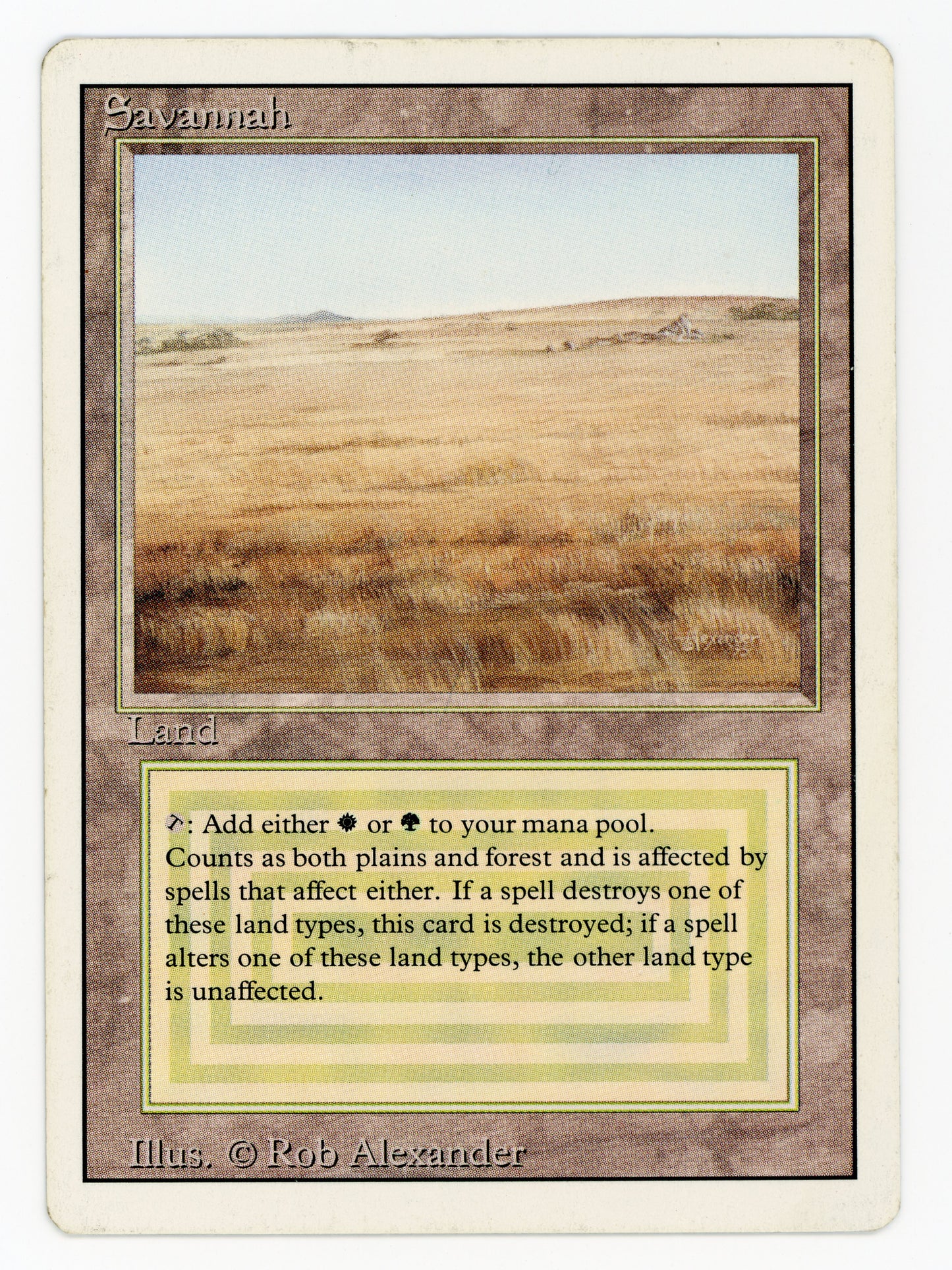 SIN-SCAN-15407