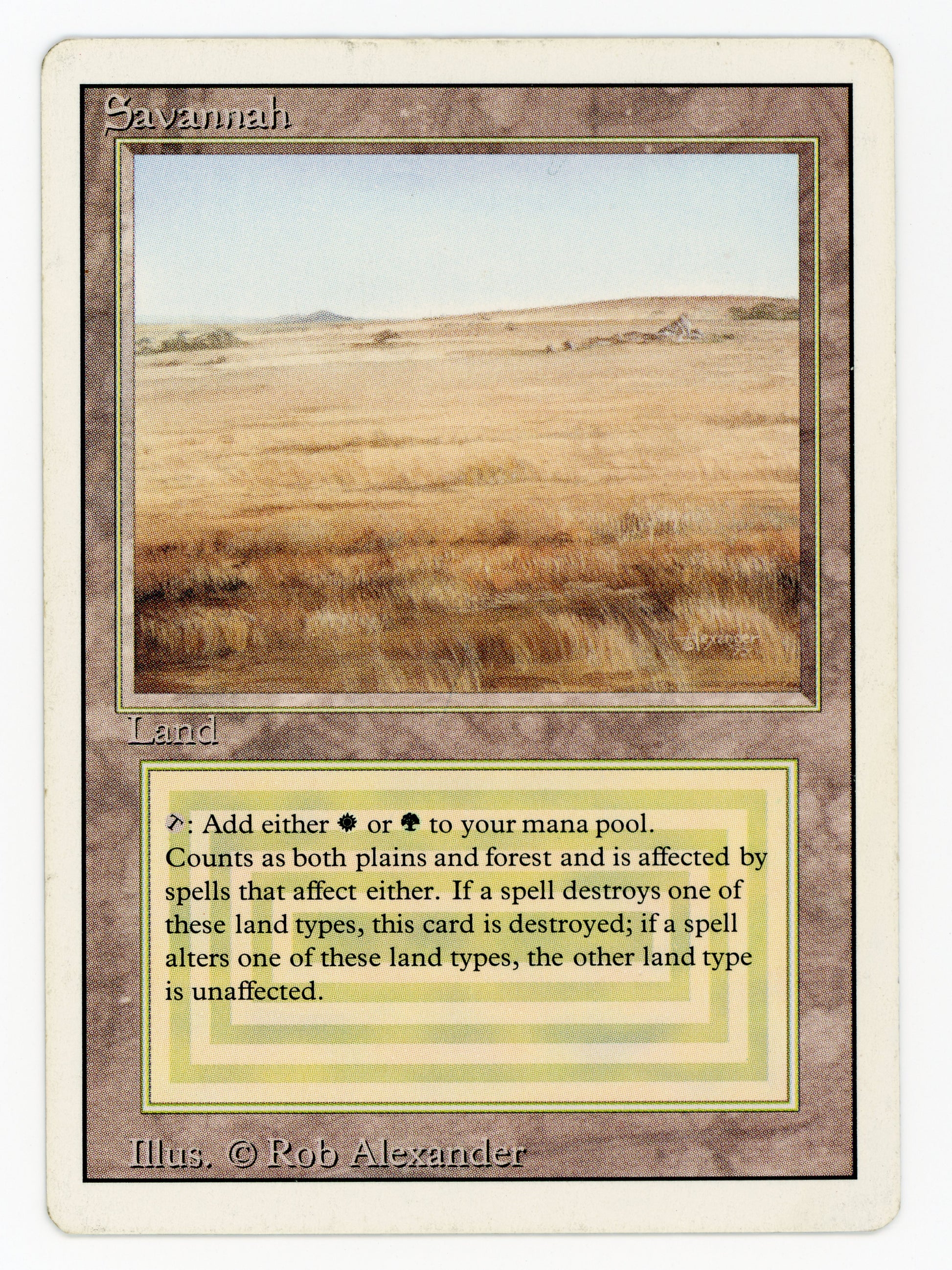 SIN-SCAN-15407