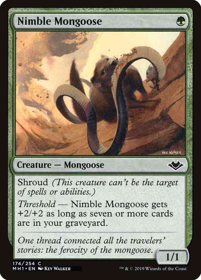 Nimble Mongoose [174] [Modern Horizons] [Non-Foil]