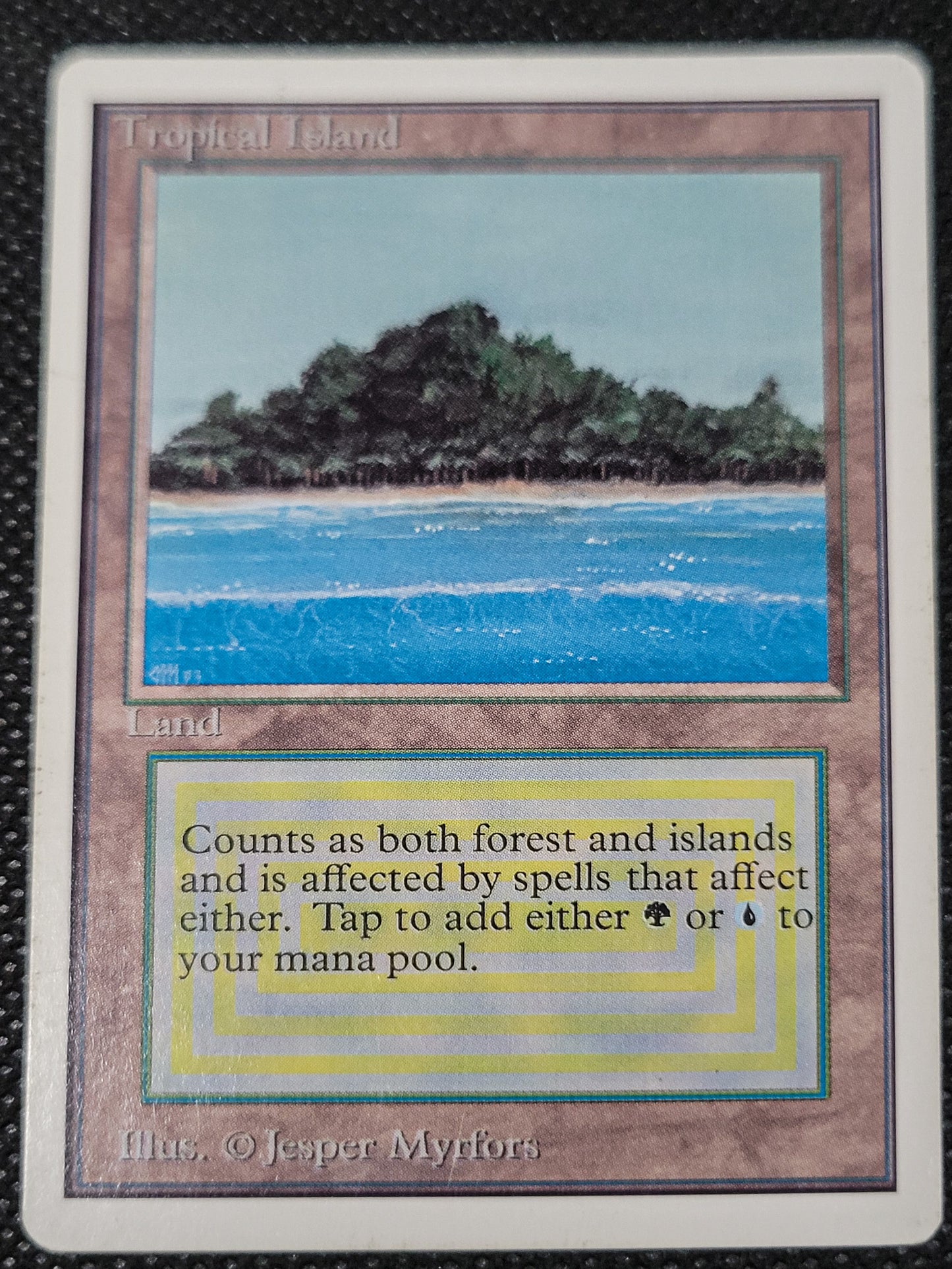 Tropical Island — ID 16971