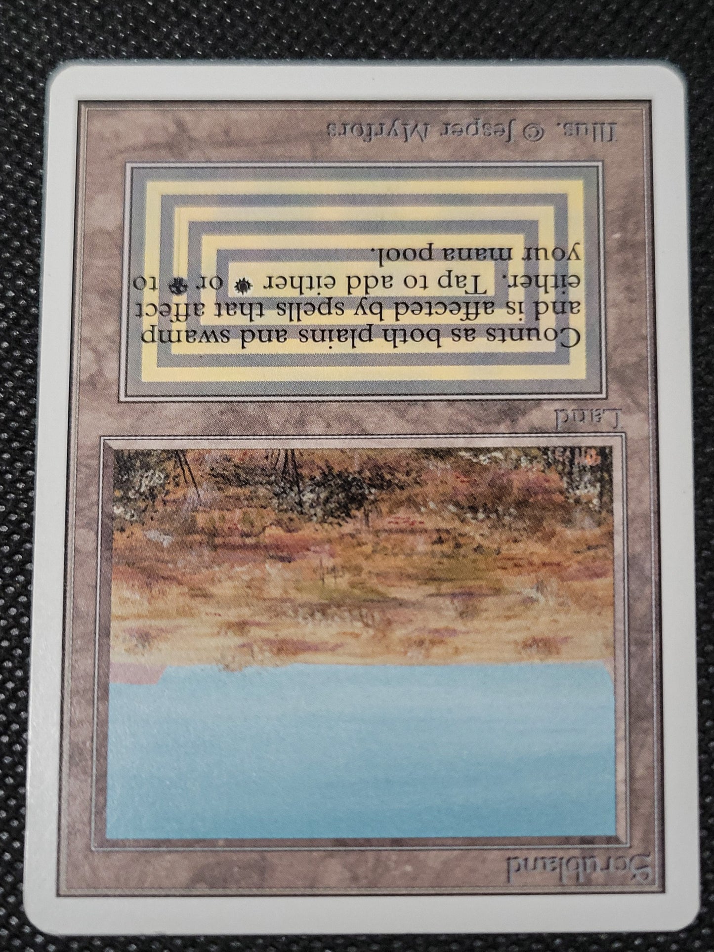 Scrubland — ID 16950