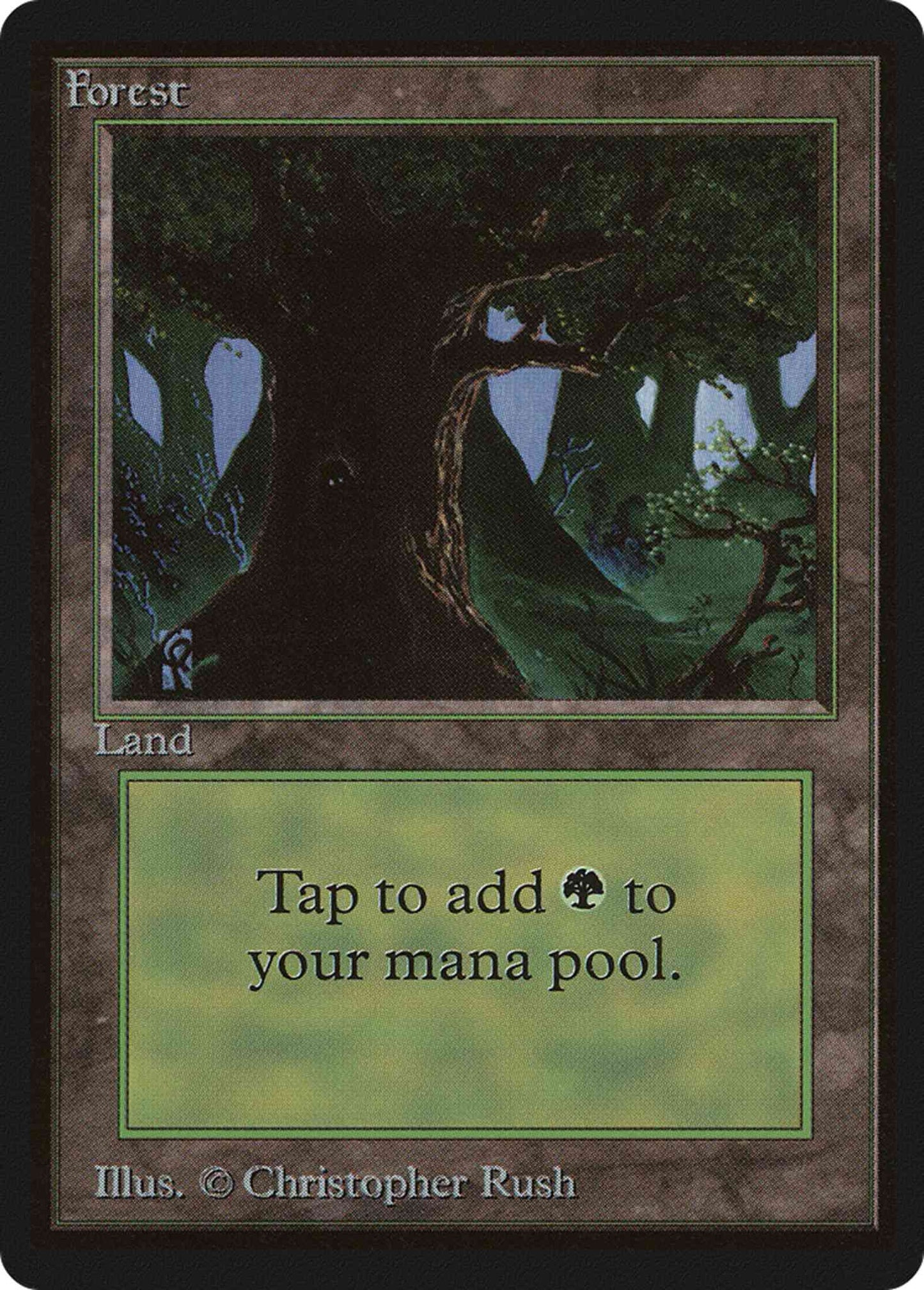 Forest [Animal in Tree] [302] [Limited Edition Beta] [Non-Foil]