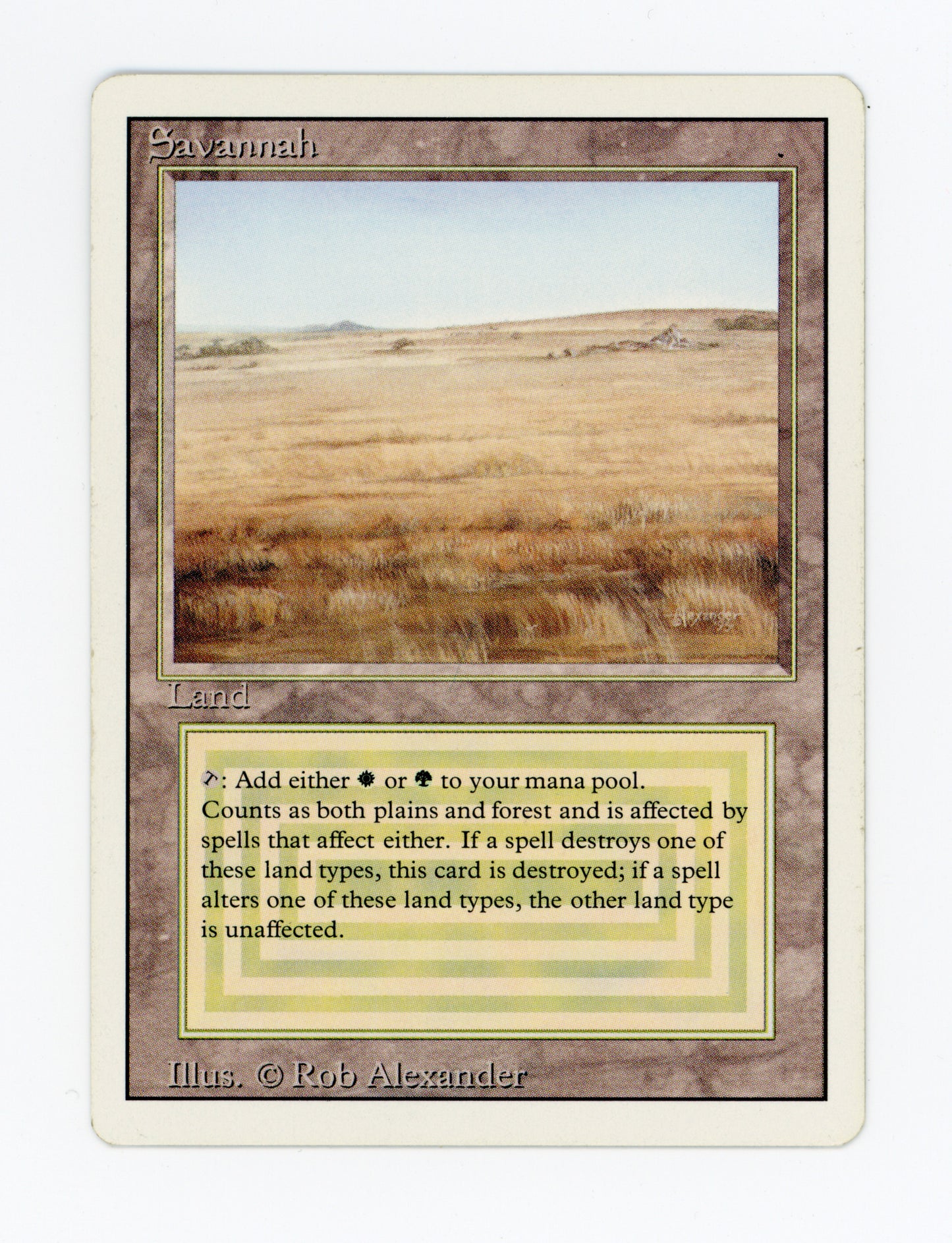 Savannah — ID 19897